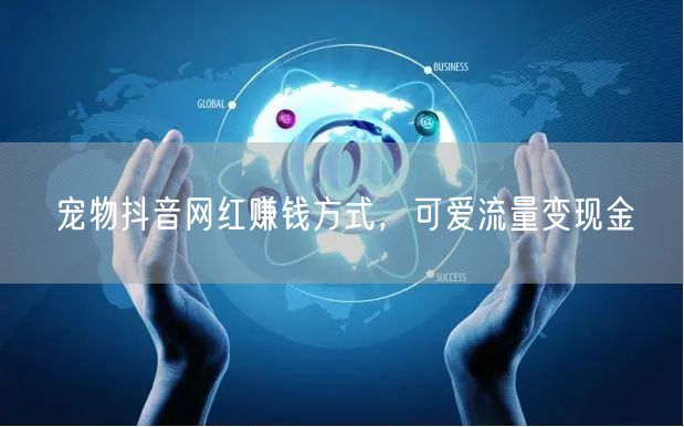 宠物抖音网红赚钱方式，可爱流量变现金