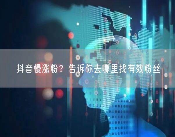 抖音慢涨粉？告诉你去哪里找有效粉丝