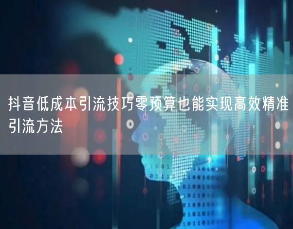 抖音低成本引流技巧零预算也能实现高效精准引流方法