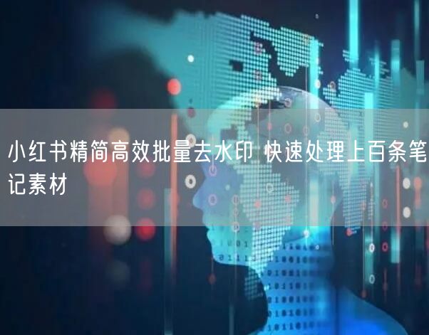 小红书精简高效批量去水印 快速处理上百条笔记素材