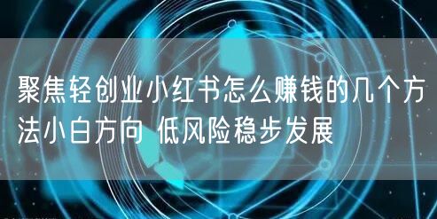 聚焦轻创业小红书怎么赚钱的几个方法小白方向 低风险稳步发展