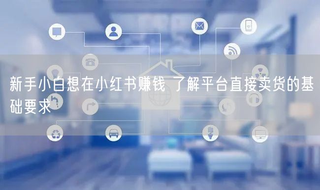 新手小白想在小红书赚钱 了解平台直接卖货的基础要求