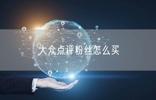 大众点评粉丝怎么买
