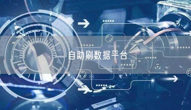 自助刷数据平台