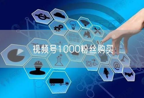 视频号1000粉丝购买