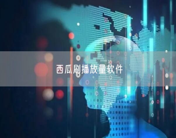 西瓜刷播放量软件