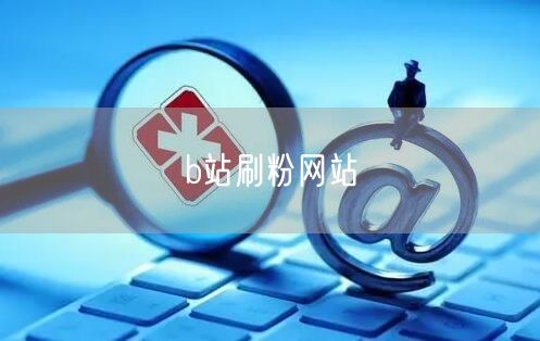 b站刷粉网站