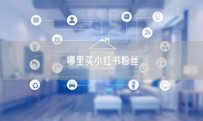 哪里买小红书粉丝