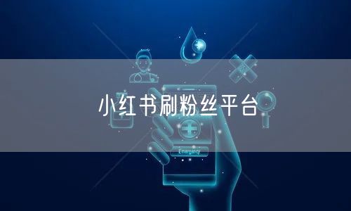 小红书刷粉丝平台