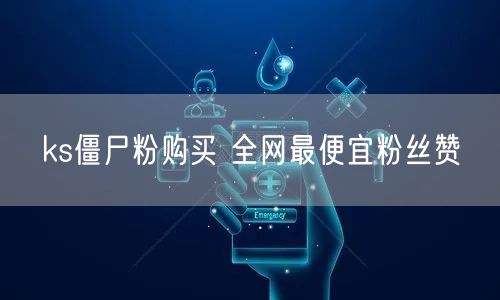 ks僵尸粉购买 全网最便宜粉丝赞