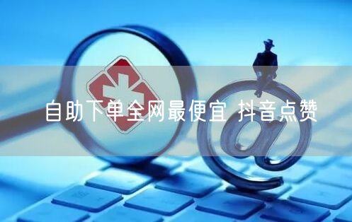 自助下单全网最便宜 抖音点赞