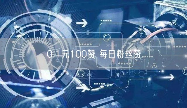 0.1元100赞 每日粉丝赞