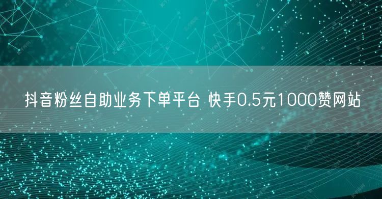 抖音粉丝自助业务下单平台 快手0.5元1000赞网站
