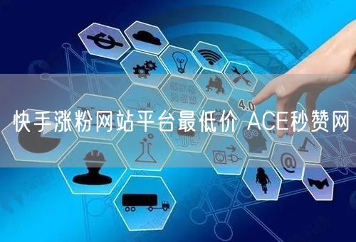 快手涨粉网站平台最低价 ACE秒赞网